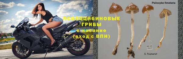 гидра Абаза