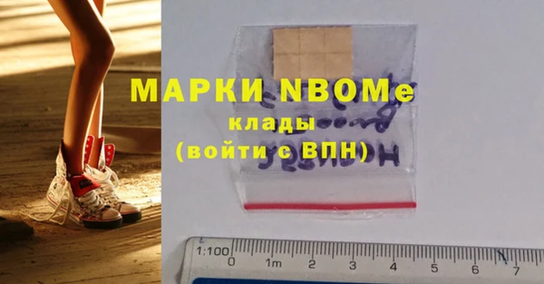 гидра Абаза