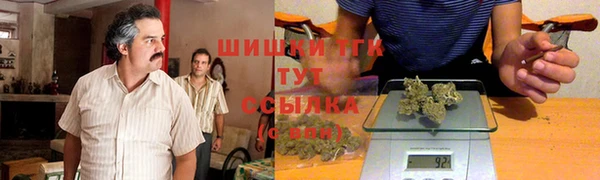гидра Абаза