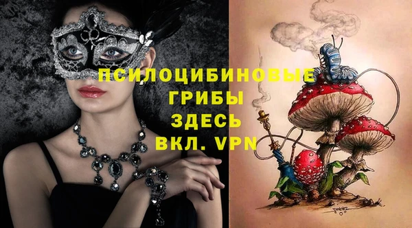амф Абинск