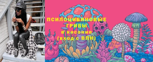 амф Абинск
