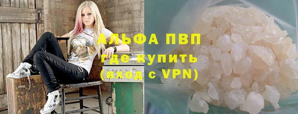 гидра Абаза