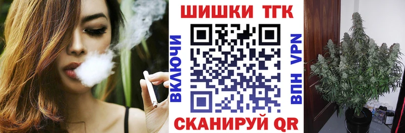 Конопля гибрид  Грозный 